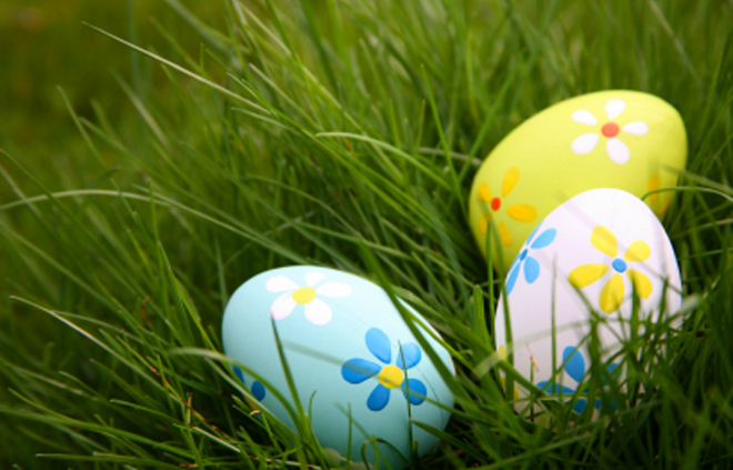 Egg-hunt
