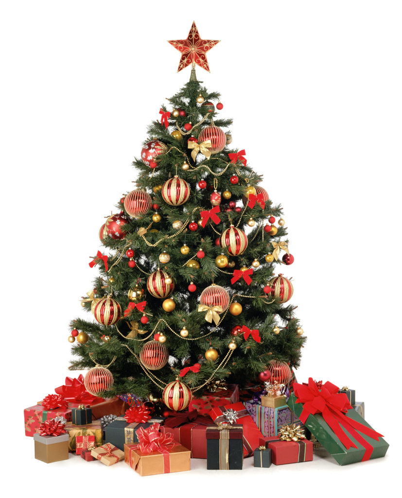 tree